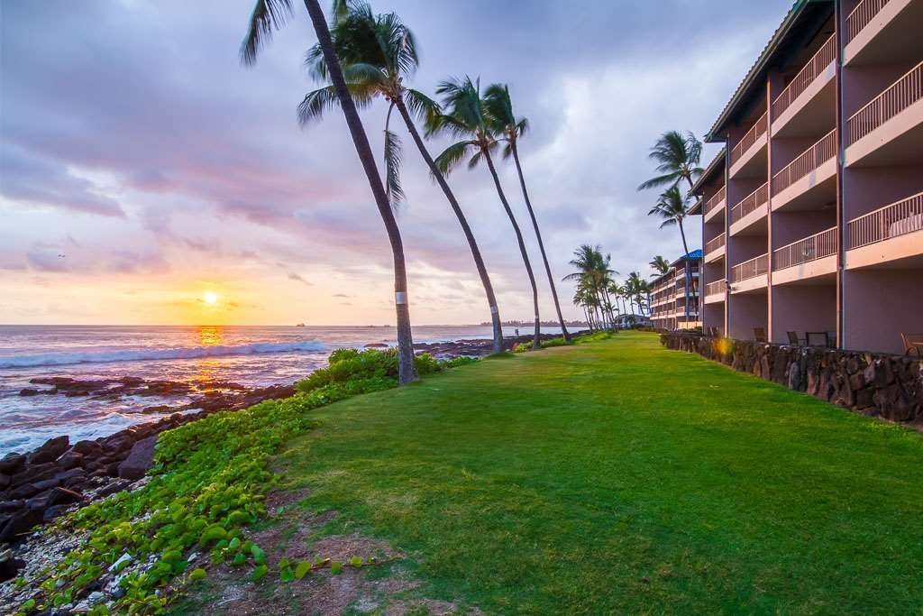Готель Kona Reef Кайлуа-Кона Природа фото