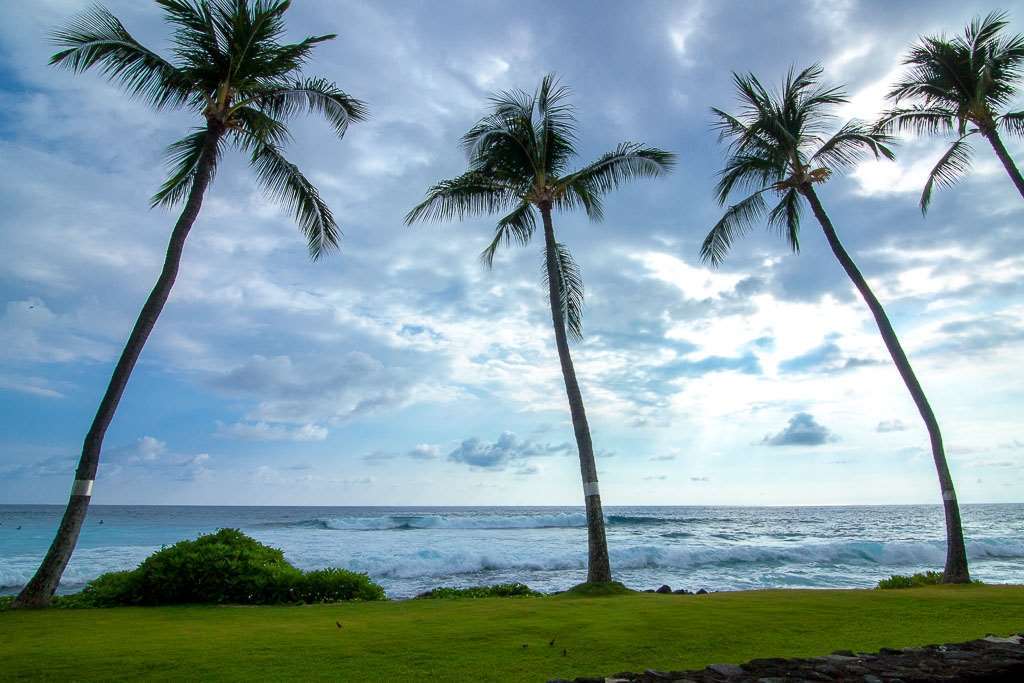 Готель Kona Reef Кайлуа-Кона Номер фото